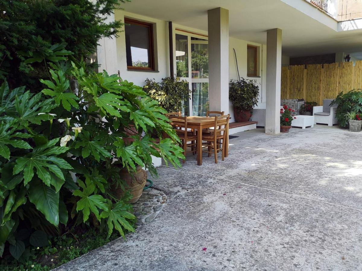 Parte Di Casa Con Giardino E Piscina Pietrasanta Exterior foto