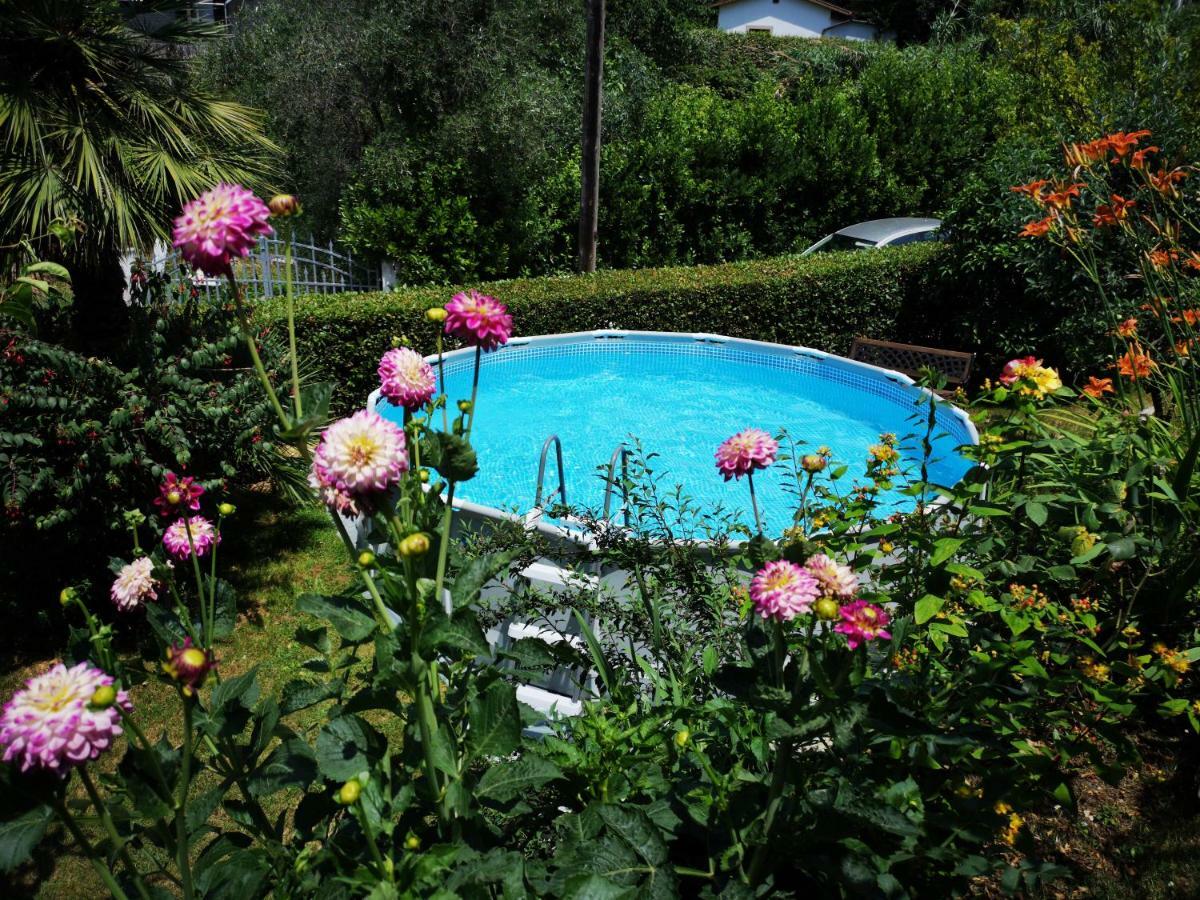 Parte Di Casa Con Giardino E Piscina Pietrasanta Exterior foto